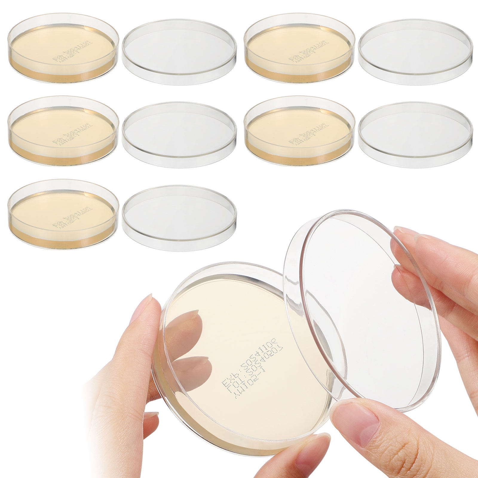 Agar Plates 10pcs Ready to Use - Science Experiment incelemesi ve fiyatı