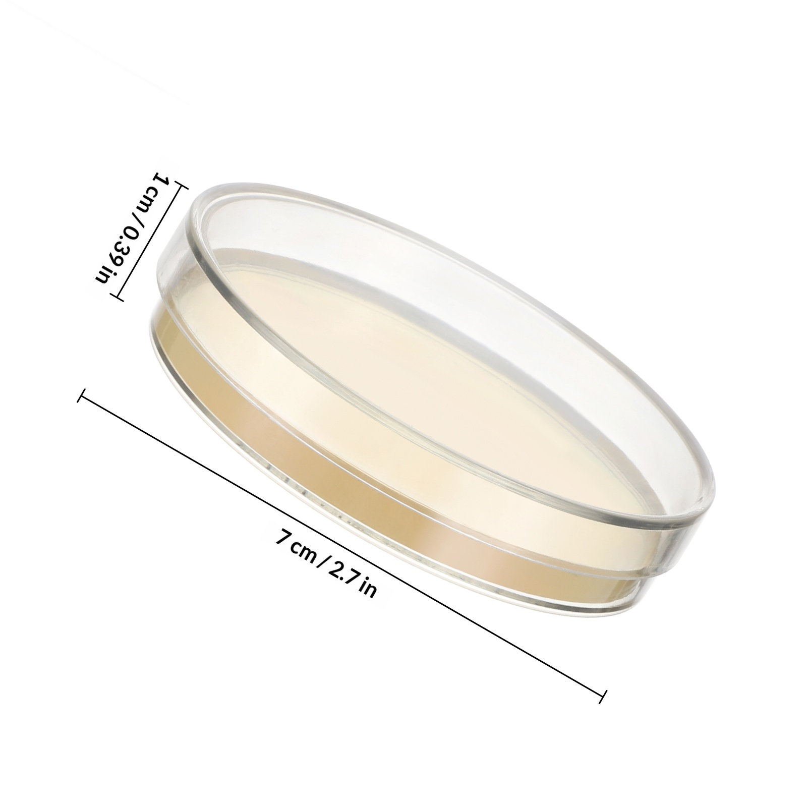 Agar Plates 10pcs Ready to Use - Science Experiment incelemesi ve fiyatı