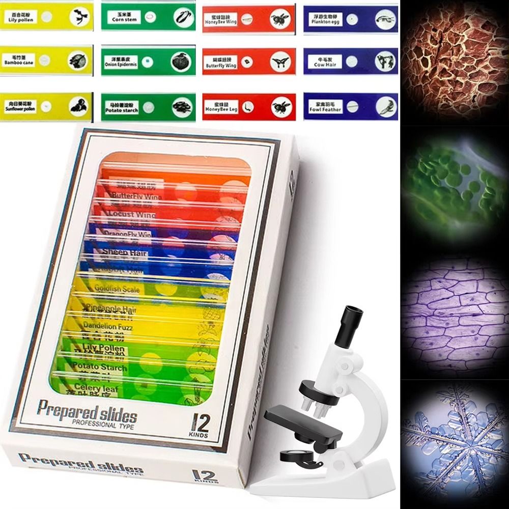 1Pcs 60-120X Pocket Microscope - Science Max incelemesi ve fiyatı