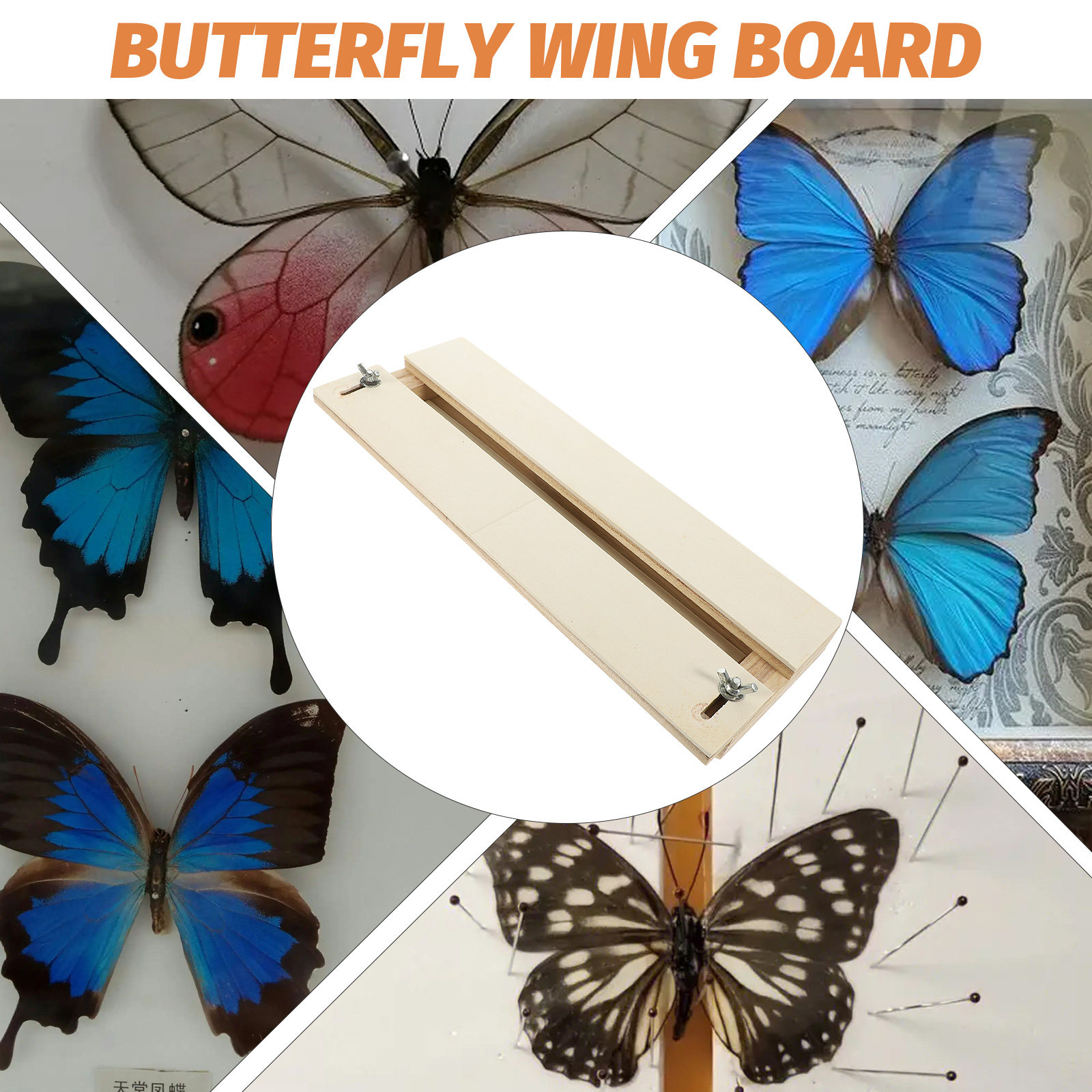 Professional Butterfly Wing Di - Science Experiment incelemesi ve fiyatı