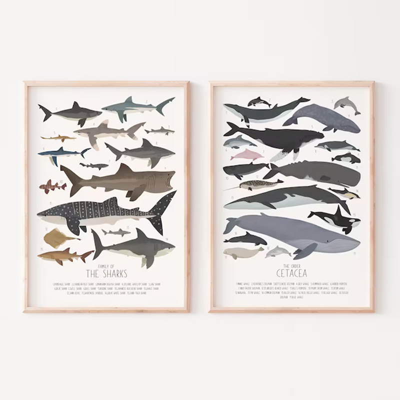 Deep-Sea Fish and Sharks Scien - Science Nursery incelemesi ve fiyatı