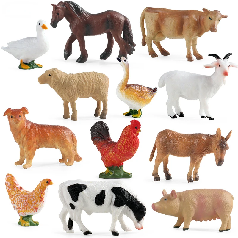 Education Teaching Tool Poultr - Science Toys incelemesi ve fiyatı
